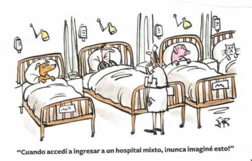 Hospital mixto