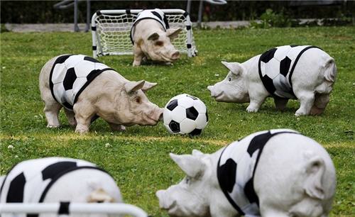 Cerdos futbolistas