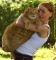El gato mas gordo del mundo