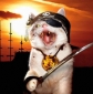 El gato pirata