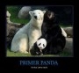 La historia del primer panda, descripcion grafica