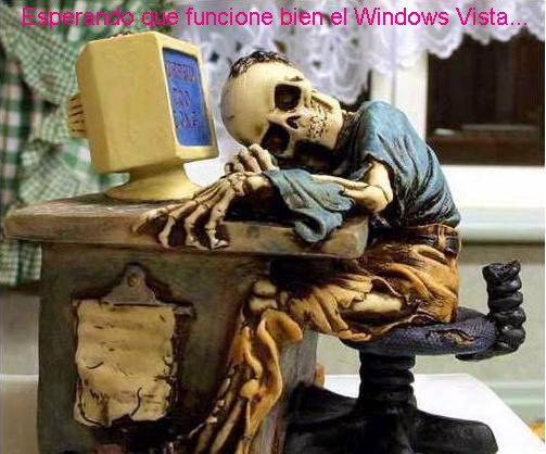 Esperando a que funcione bien Windows Vista