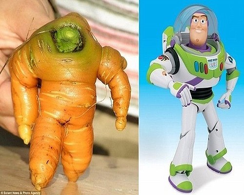 Buzz como zanahoria