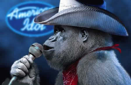 EL gorila cantante