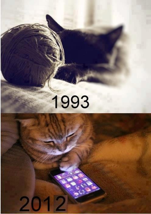 Los gatos tambien cambian