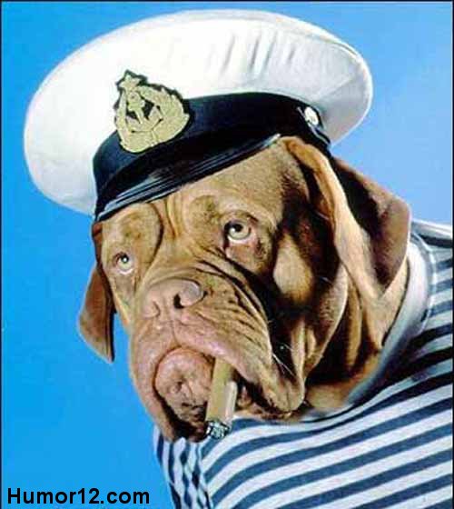 Popeye el perro marino soy