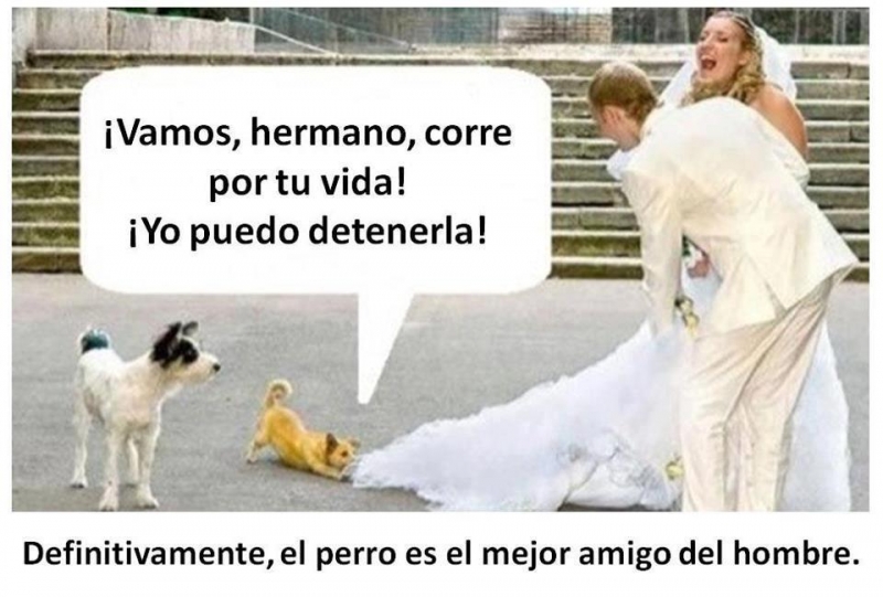 Corre lucho